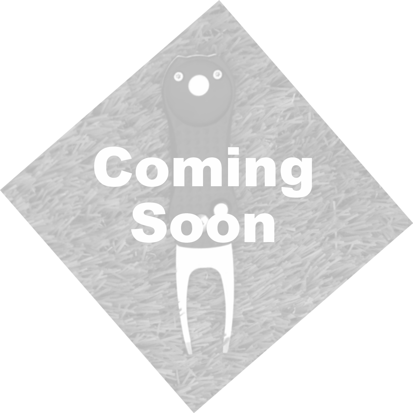 Divot Repair Tools